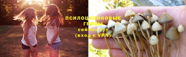 прущая мука Алексеевка