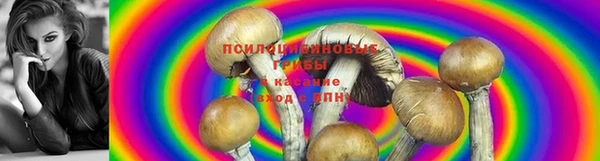 прущие крисы Алзамай